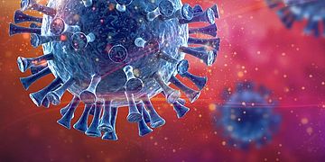 Bildliche Darstellung mehrerer Corona-Viren